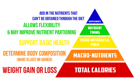 nutrition guide for fitness